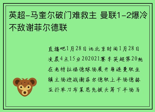 英超-马奎尔破门难救主 曼联1-2爆冷不敌谢菲尔德联