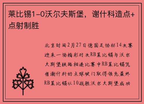 莱比锡1-0沃尔夫斯堡，谢什科造点+点射制胜