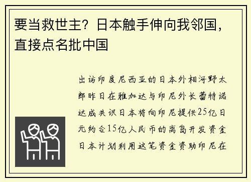 要当救世主？日本触手伸向我邻国，直接点名批中国